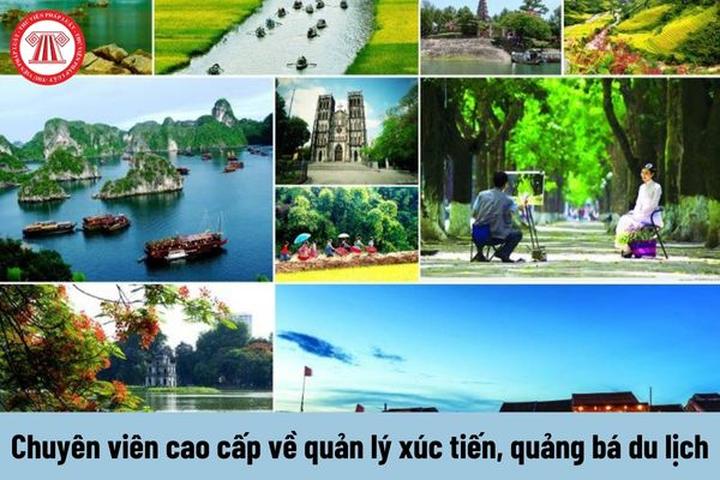 Hotspot Matrix và Chuyển đổi số – chuyên ngành học của tương lai vừa “đổ bộ” Trường Đại