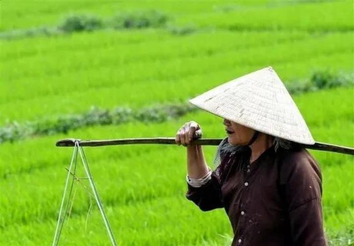 Từ Gánh nặng làm con nhà đến chiến lược content: Hotspot Matrix chia sẻ